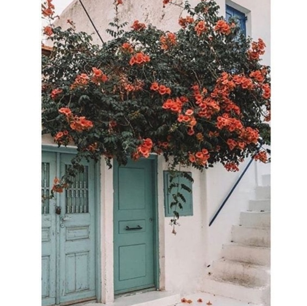 Meet your Posher, Isabelle